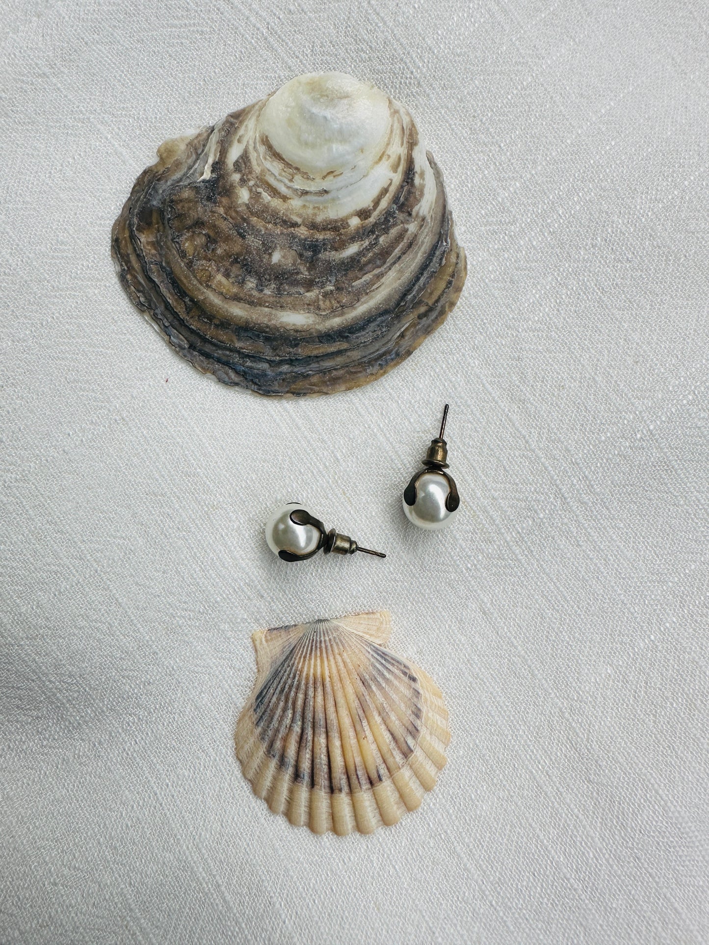 Classic Pearl Stud Earrings
